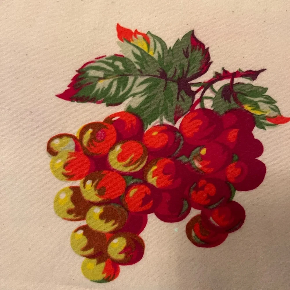 Garnet Hill Fruit 🍎 Fruit Salad Flannel Pillow Sham
